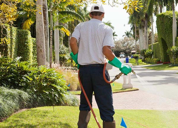 About Scott LA Pest Control Pros